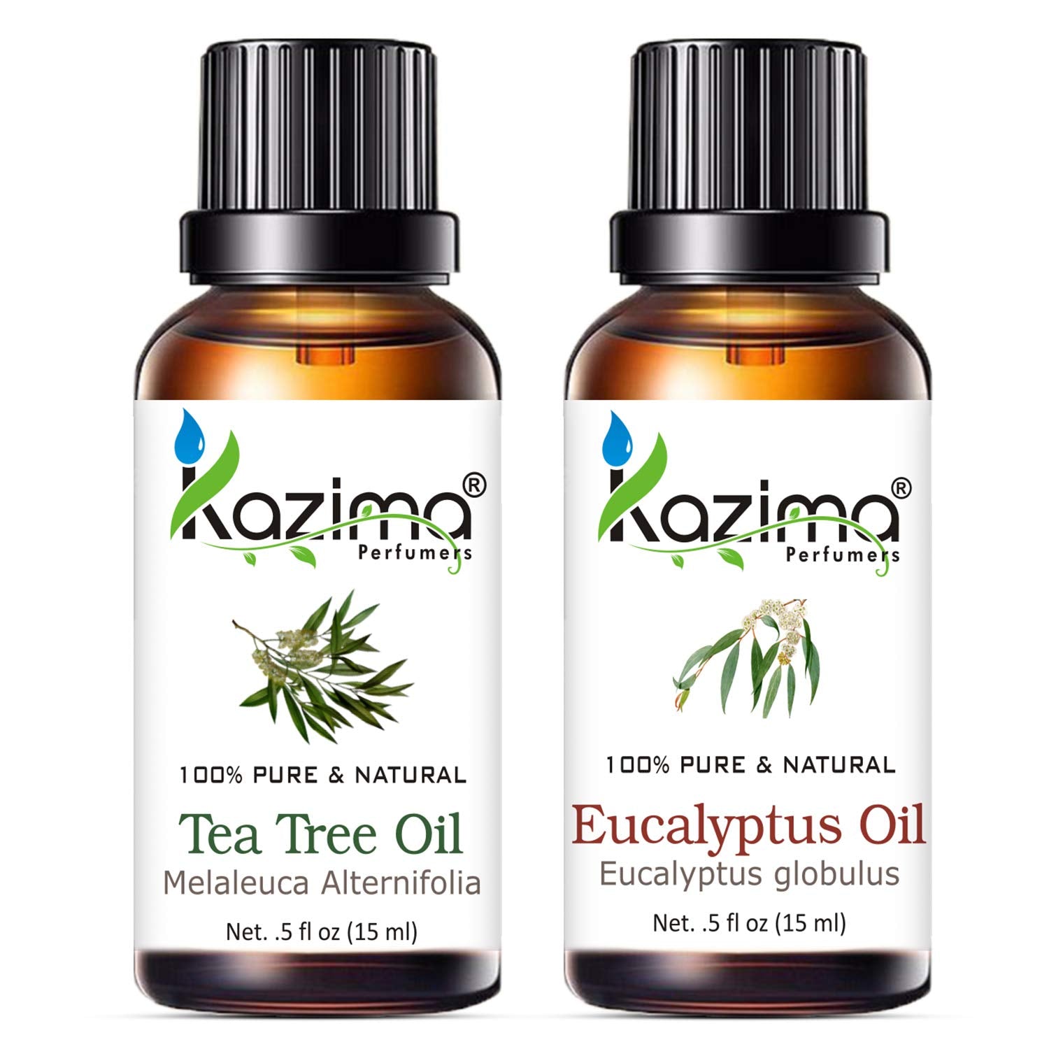KAZIMA Combo of Tea Tree & Eucalyptus Essential Oils – 100% Pure & Natural Oils for Acne Scars, Hair Growth, Skin Care & Scalp Nourishment, 15ml Each