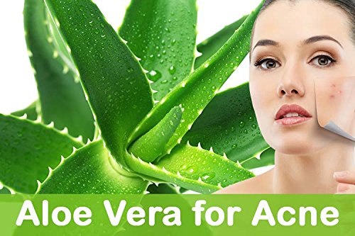 KAZIMA Aloe Vera Gel 500g & Castor Oil 100ml Combo – 100% Pure & Natural for Skin, Face, Acne Scars, Hair Growth, Moisturizing & Dark Circles