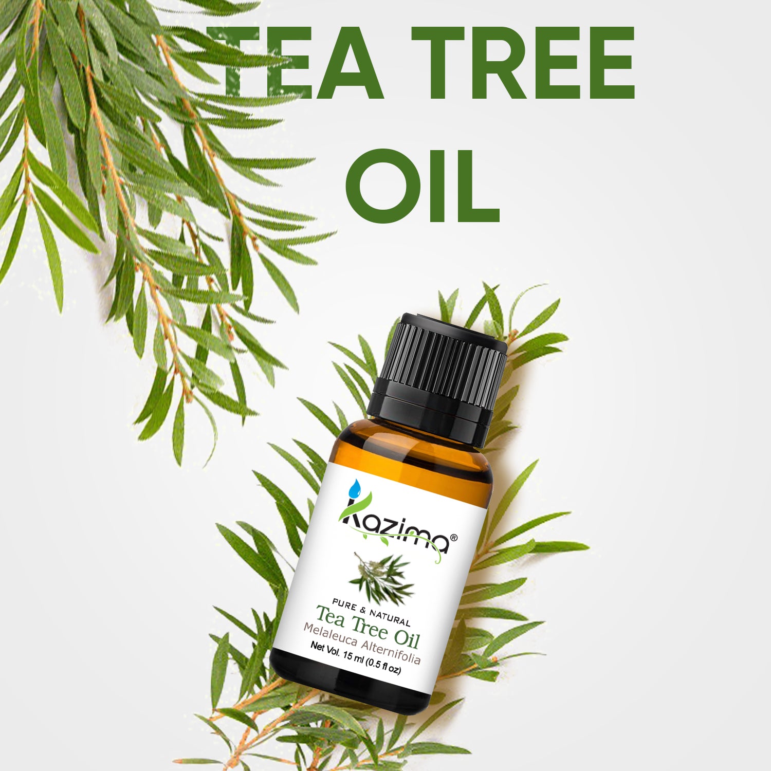 100% Pure Tea Tree Essential Oil – Natural, Undiluted, Therapeutic Grade for Skin Care, Hair, Acne Treatment, and Aromatherapy