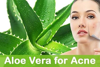 KAZIMA Aloe Vera Gel 250g & Almond Carrier Oil 15ml Combo – 100% Pure Natural Skincare for Acne, Scars & Hair
